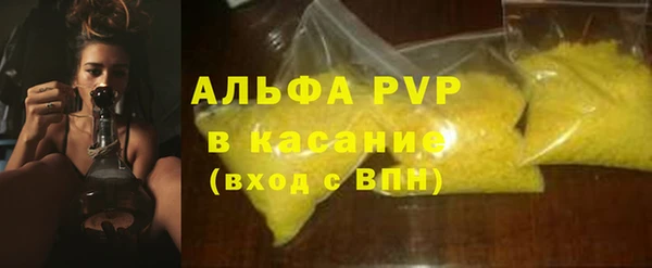 индика Володарск